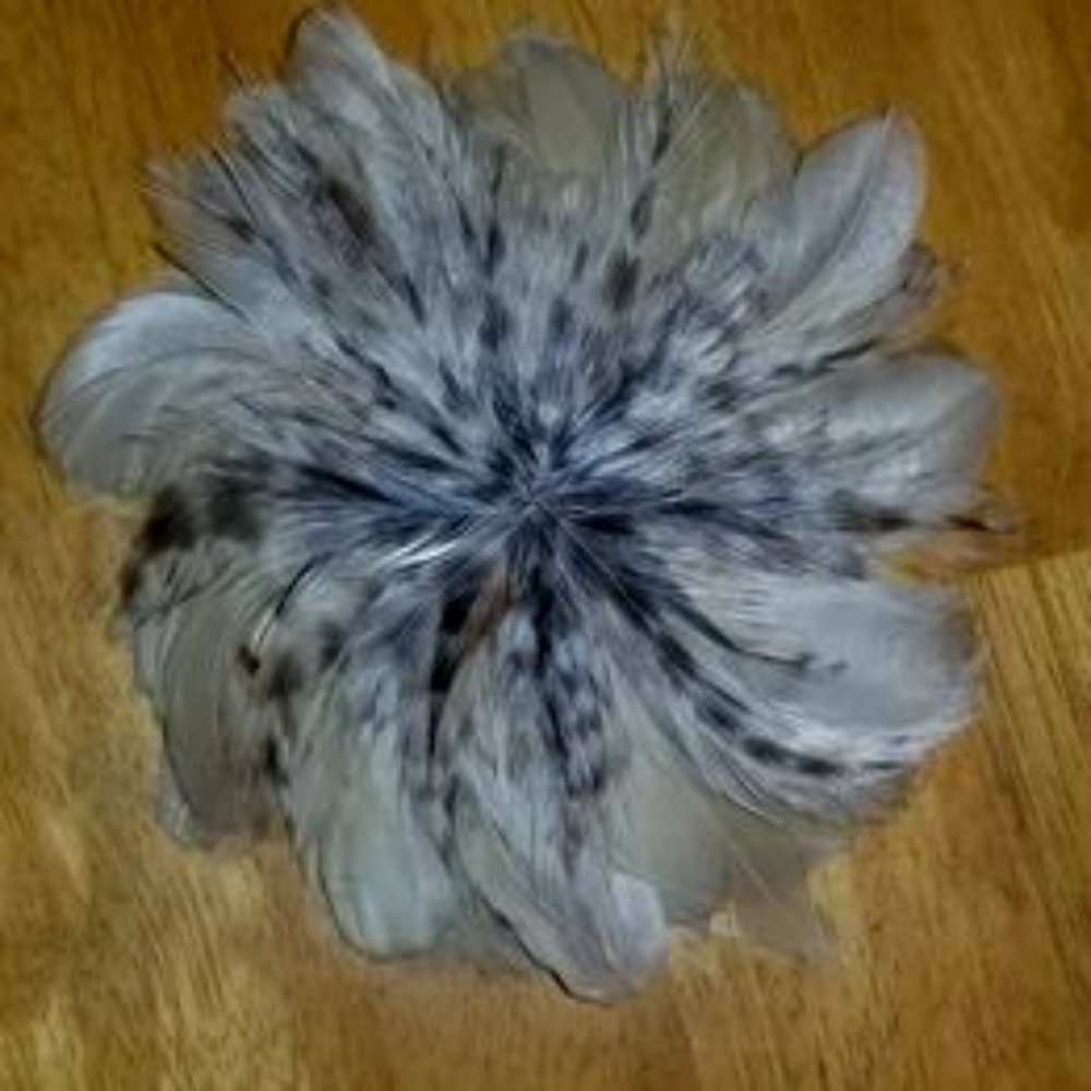 Feather Brooch Accessory w/Magnetic Holder